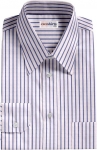 Blue Striped Egyptian Cotton Shirt 1